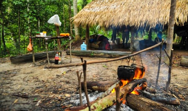 Manaus Amazon Jungle Adventure 5D/4N - 11