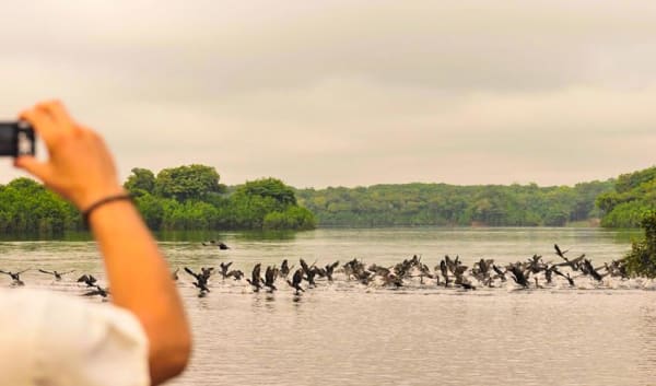 Manaus Amazon Jungle Adventure 5D/4N - 14