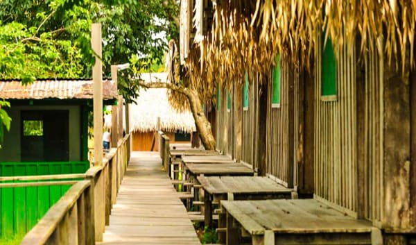 Manaus Amazon Jungle Adventure 5D/4N - 18