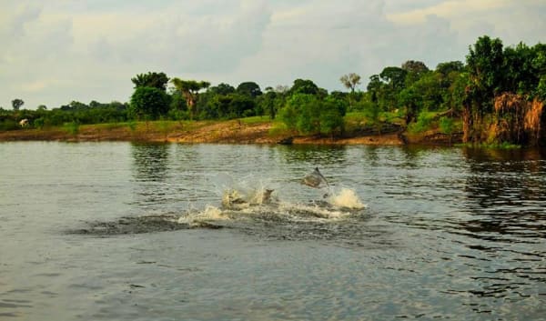 Manaus Amazon Jungle Adventure 5D/4N - 21