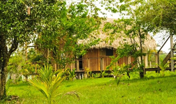 Manaus Amazon Jungle Adventure 5D/4N - 23