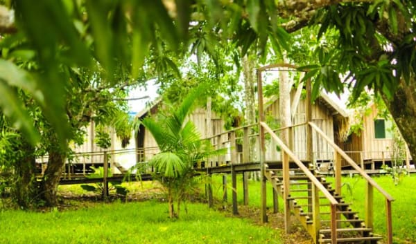 Manaus Amazon Jungle Adventure 5D/4N - 24