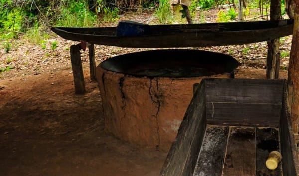 Manaus Amazon Jungle Adventure 5D/4N - 27