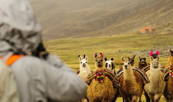 Rainbow Mountain Trek 2D/1N - 11