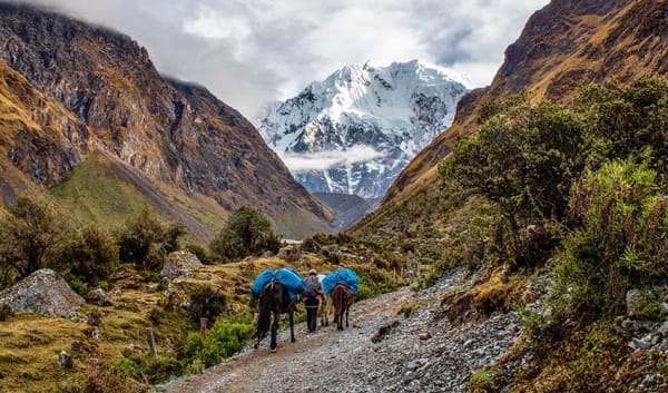 Salkantay Trek to Machu Picchu 5D/4N - 14
