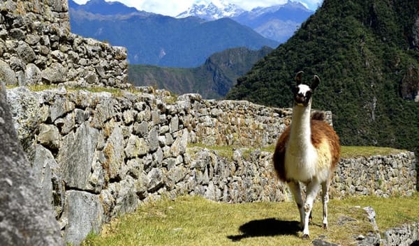 Salkantay Trek to Machu Picchu 5D/4N - 26
