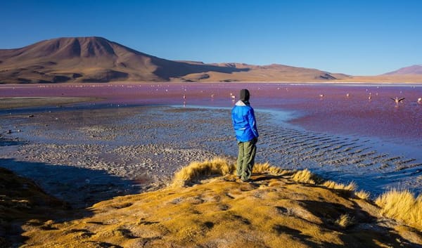 Uyuni Salt Flats & Desert Adventure 5D/4N (La Paz to La Paz) - 14