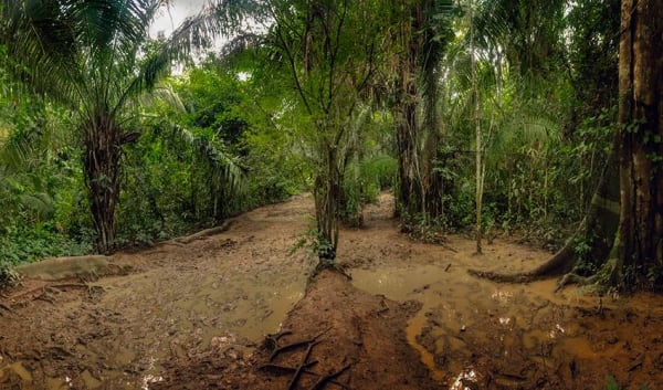 Puerto Maldonado Amazon Eco-Lodge 5D/4N (from Cuzco) - 40