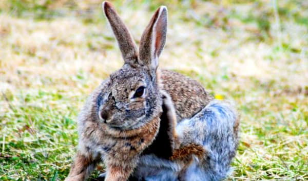 Ushuaia to Santiago (Ruta 40) Travel Pass - 4