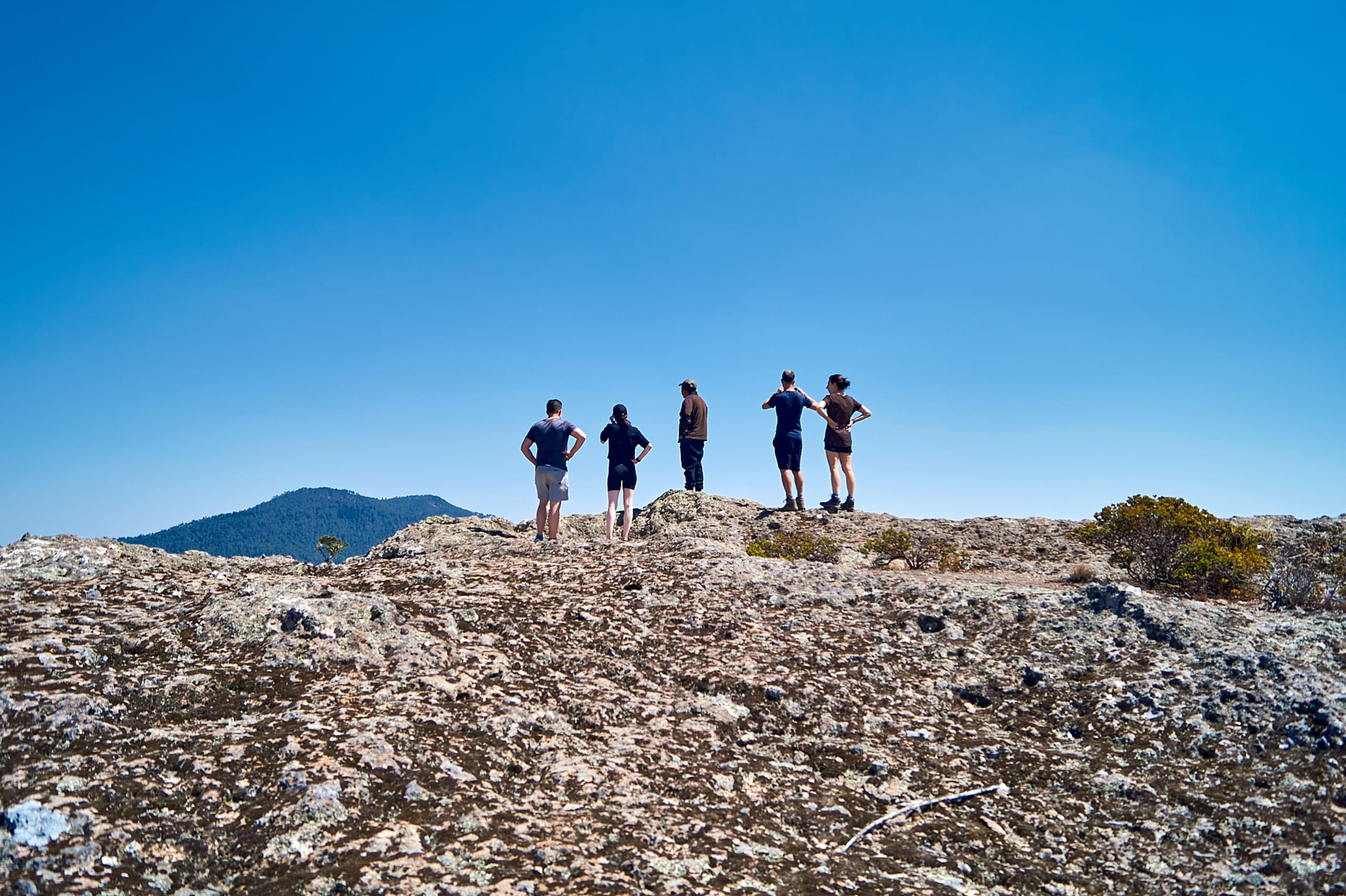 Oaxacan Mountain Metamorphosis Hike 2D/1N tourhub | Bamba Travel | Oaxacan Mountain Metamorphosis Hike 2D/1N | 10199