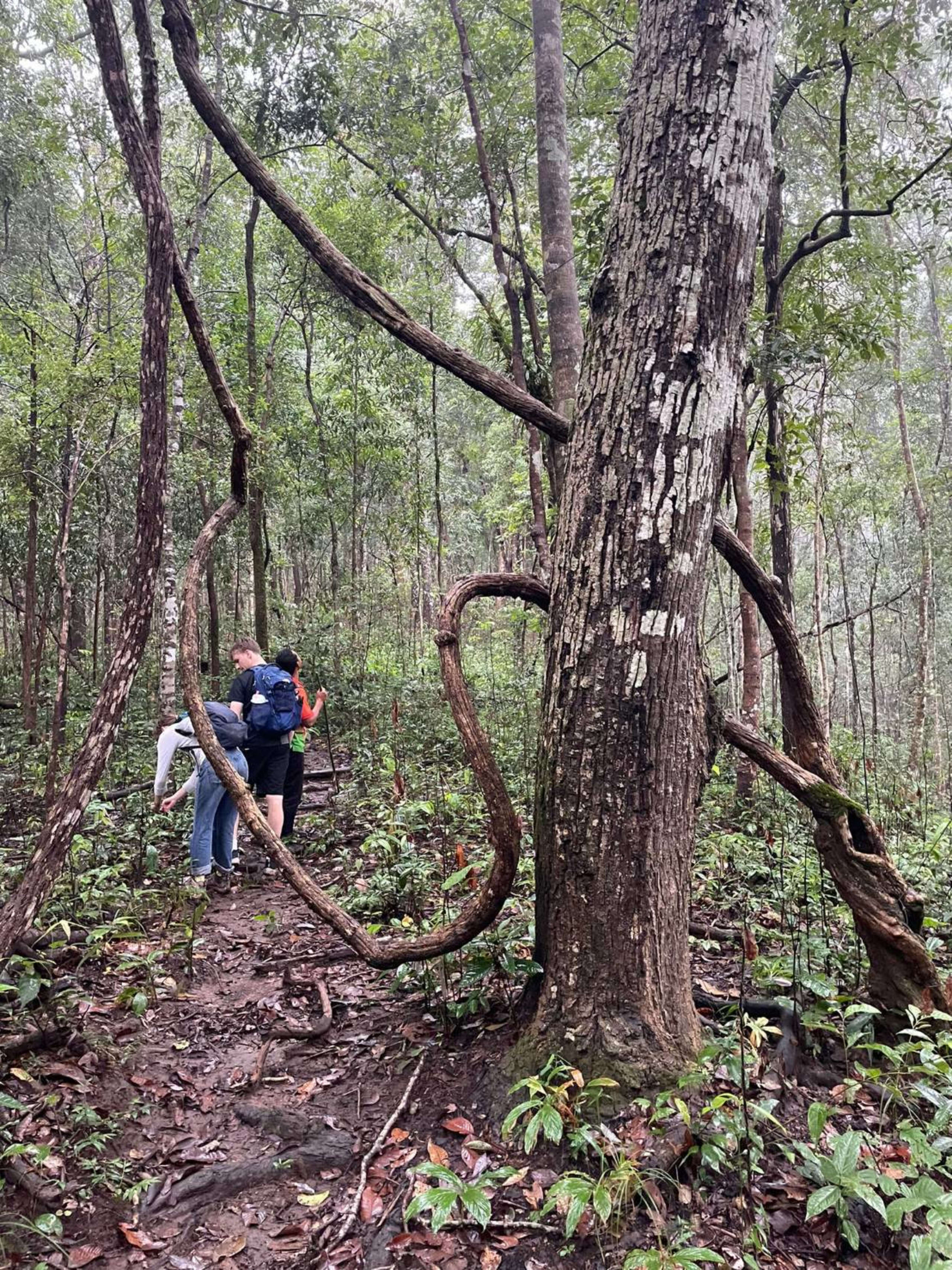 Tour | Off the Beaten Path Nature Trek 2D/1N | Bamba Travel | 52886