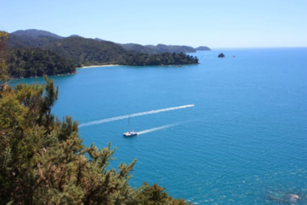 Biking in South Island - 9