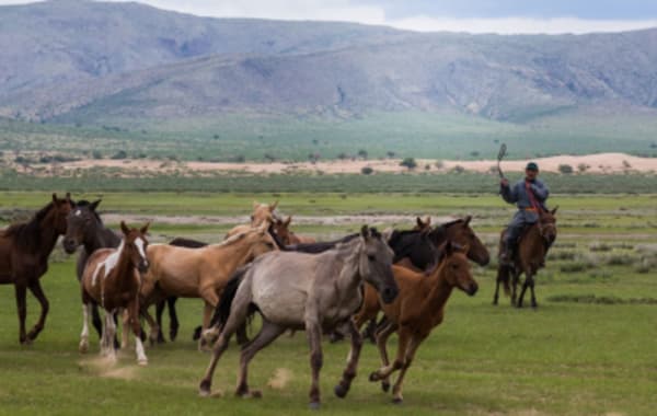 Nomadic Lifestyle - 10