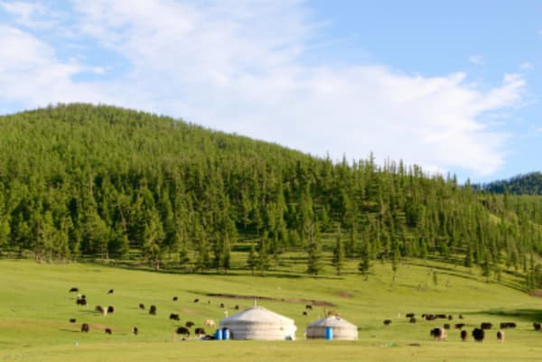Nomadic Lifestyle - 12