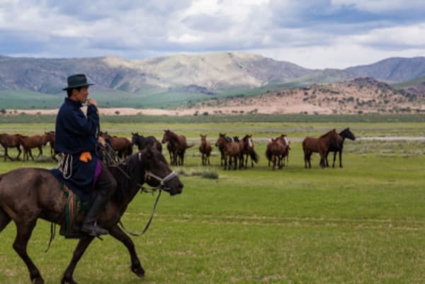 Nomadic Lifestyle - 9