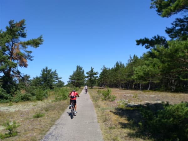 Explore the Baltic States - 3