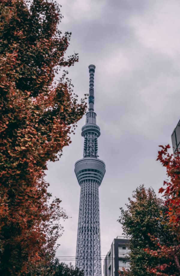 Classic Japan Route - 4
