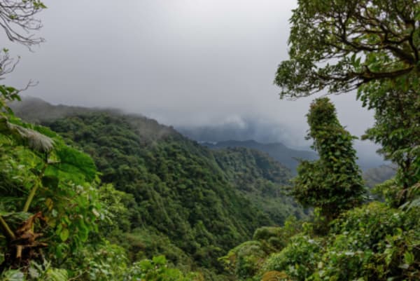 A Taste Of Nicaragua And Costa Rica - 11