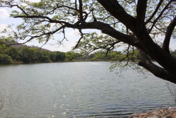 Nicaragua Highlights - 8