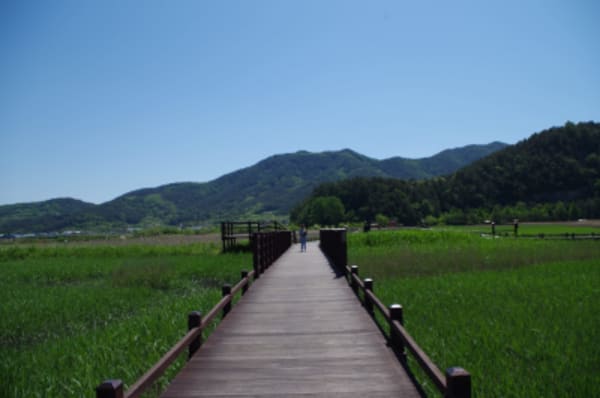 Western Course of South KOREA - 12