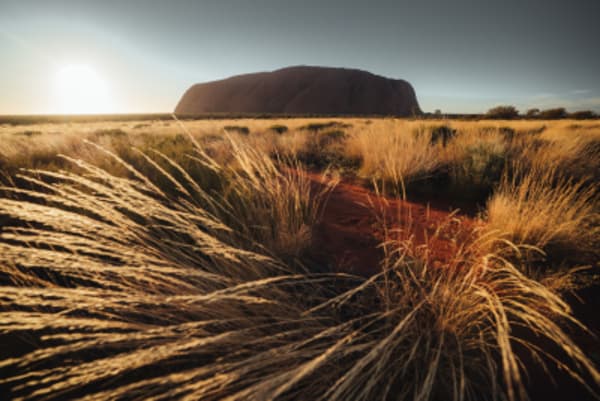 Indigenous Experience in Australia - 4