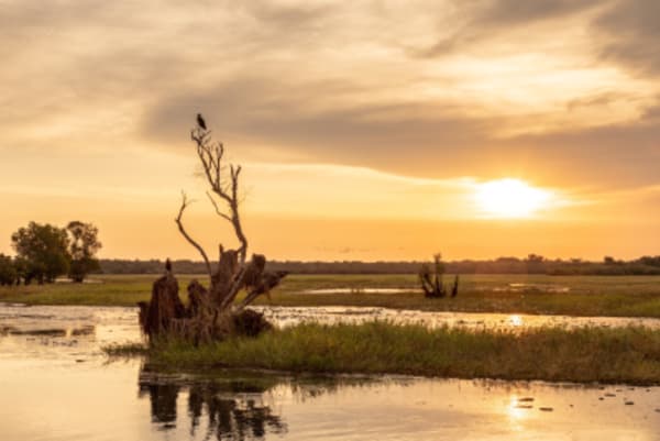 Indigenous Experience in Australia - 10