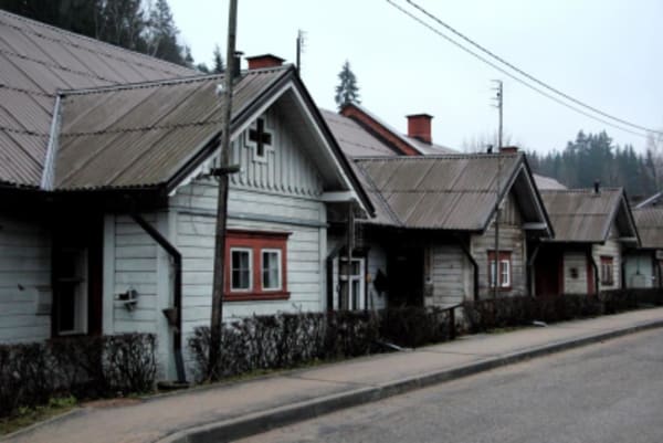 Hiking Adventure in Gauja National Park - 8