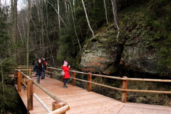 Hiking Adventure in Gauja National Park - 20