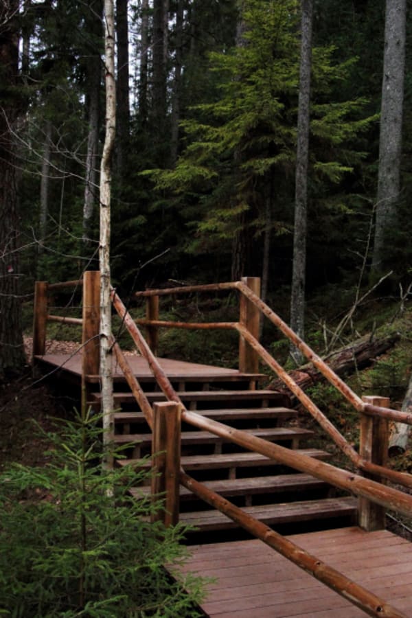 Hiking Adventure in Gauja National Park - 21