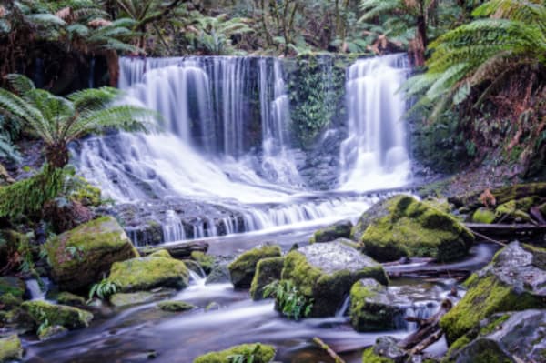 Remote Wonders of Tasmania - 6