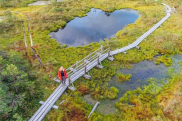 Self guided  Walking in the Baltics - 6