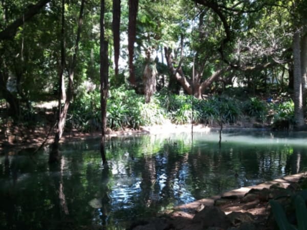 The road of the Ksours and Secret Oases - 4