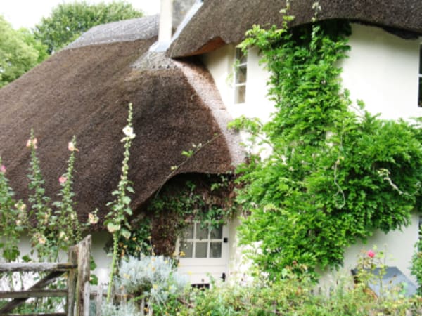 Dorset Jurassic Coastal Path walking holiday plus London as a bookend - 57
