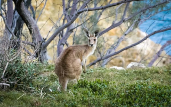Experience South Australia - 1