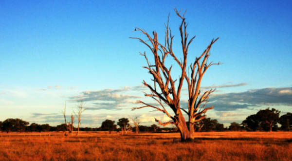 Experience South Australia - 6
