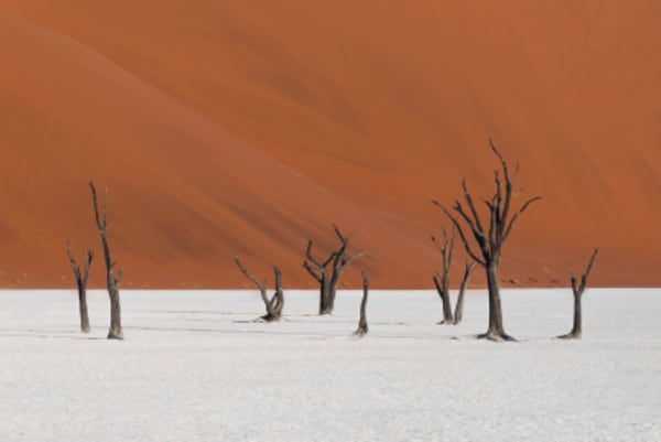Namibia Highlights - 11