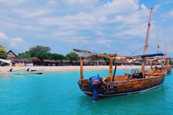 Safari in Tanzania & Zanzibar - 4