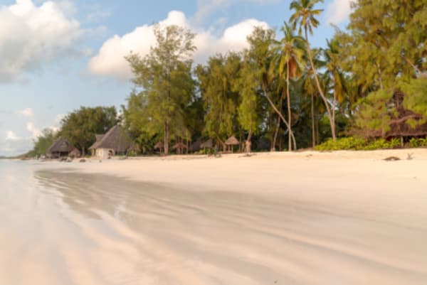 Safari in Tanzania & Zanzibar - 5