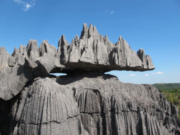 Discover the unique in Madagasacar - Lemurs - Baobab - Tsingy - 59