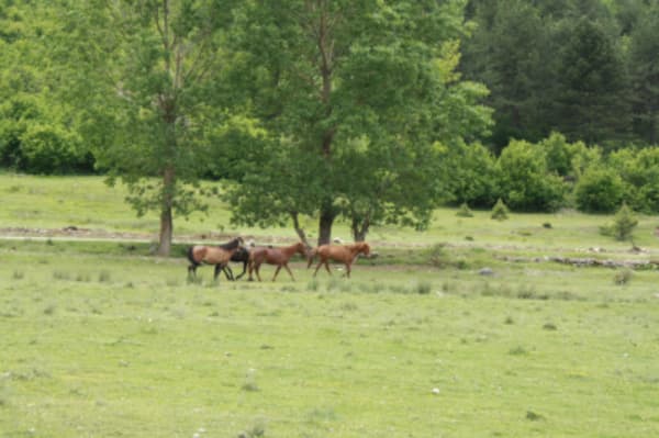 Discover Albania - 14