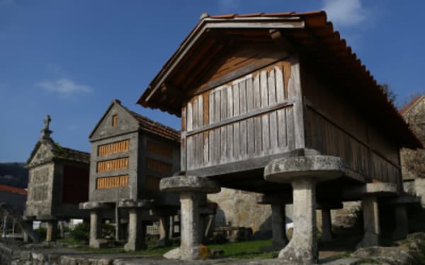 Explore Northern Spain along the Camino de Santiago - 8