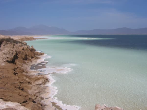Tour to Djibouti Beaches and Whale Shark - 4