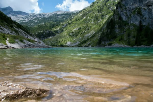Mountains to Sea - 1