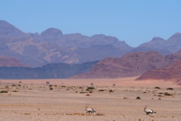 7 Day Southern Namibia & Sossusvlei Camping Safari - 4