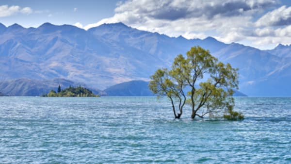 Highlights of New Zealand - 9