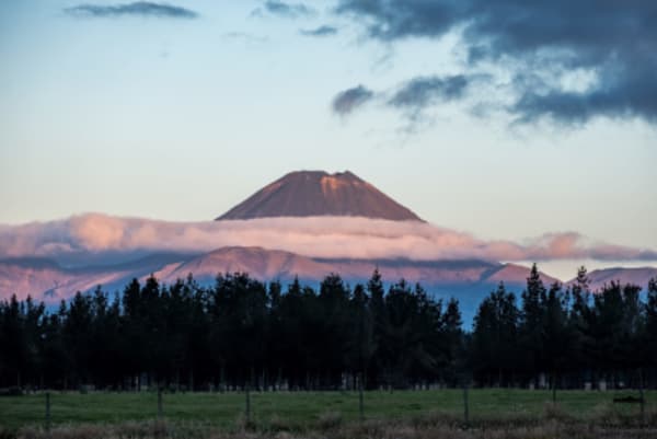 Highlights of New Zealand - 16