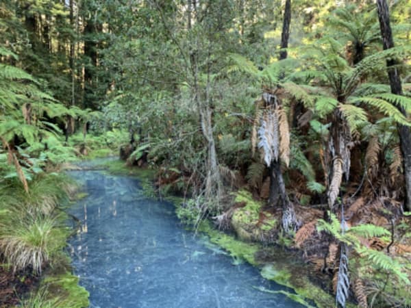 Highlights of New Zealand - 17