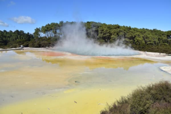 Highlights of New Zealand - 18