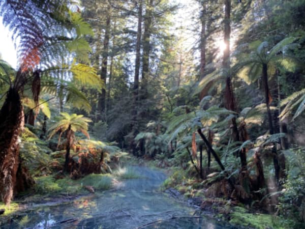 New Zealand gateway - 3