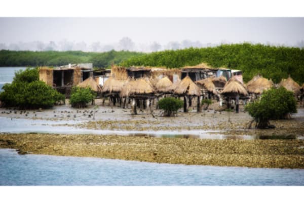 Dak‘Art and Senegal Discovery Tour - 15